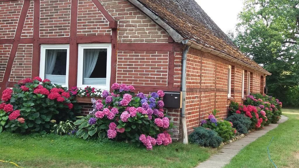 Von Wiegen, Ferienwohnungen Schneverdingen Luaran gambar